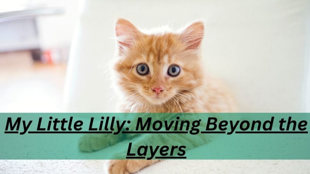 My Little Lilly: Moving Beyond the Layers